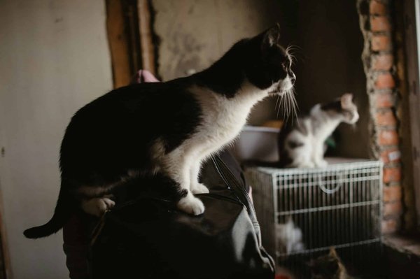 Comment l'assurance vie peut-elle soutenir un projet philanthropique ?